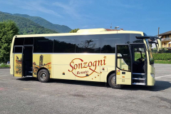 Pullman-Temsa-MD9-Autoservizi-Sonzogni-1