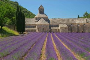 Abbazia di Sénanque Autoservizi Sonzogni
