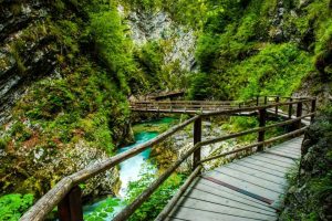 Gole di Vintgar Autoservizi Sonzogni