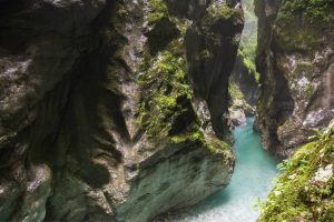 Valle Isonzo e Tolmin Autoservizi Sonzogni