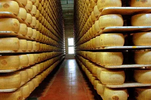 tour enogastronomico in Emilia Romagna autoservizi Sonzogni caseificio parmigiano reggiano